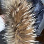 Thumbnail for Winter coat