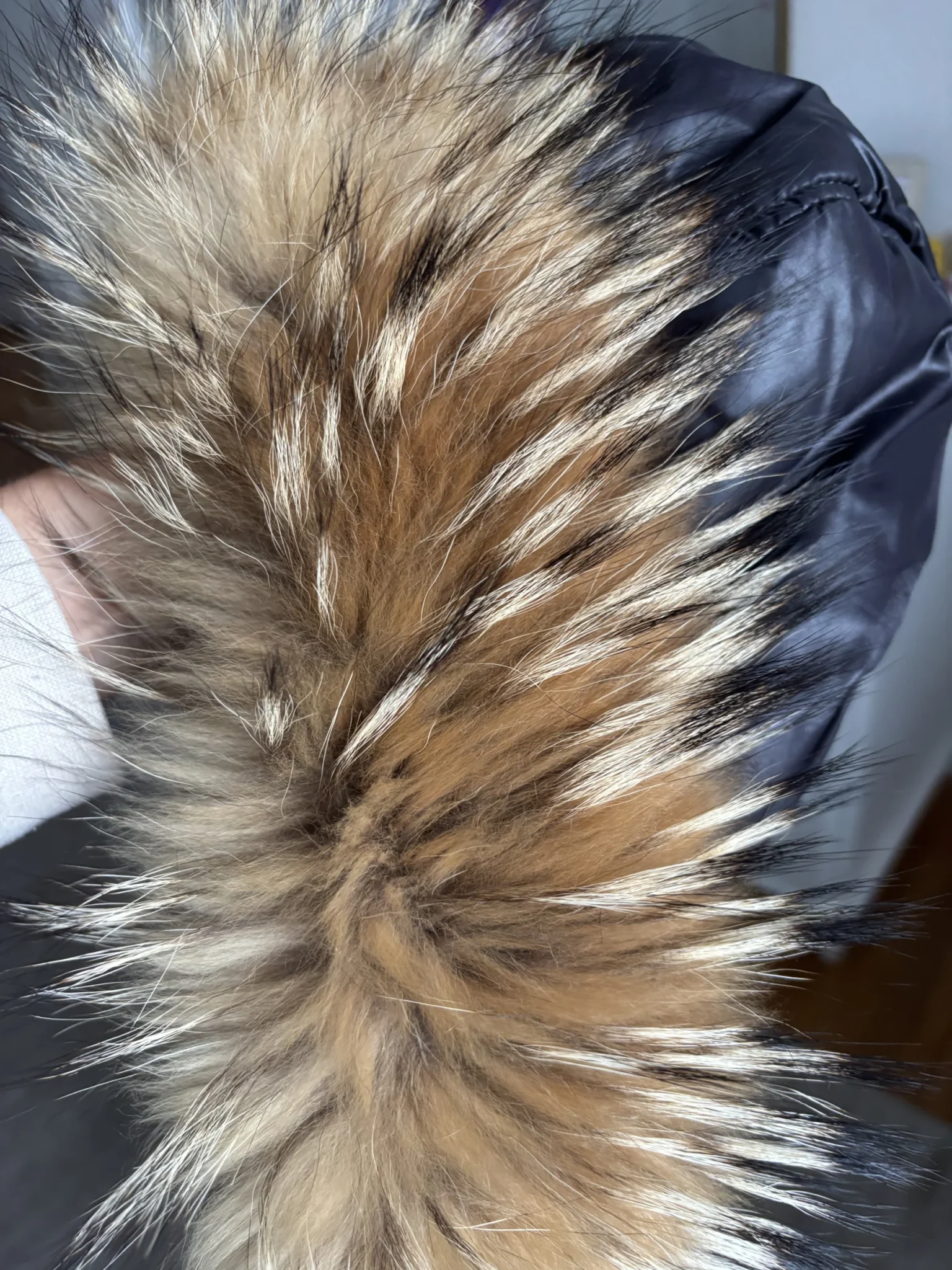 Image for Winter coat