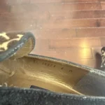 Thumbnail for Low-heeled loafers