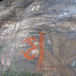 Thumbnail for Set /  - REALTREE Camo Khaki hoodie (L) + (3) CELLO Baggy Carpenter jeans