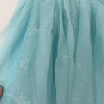 Thumbnail for 2 robes style Elsa/Frozen 5 ans