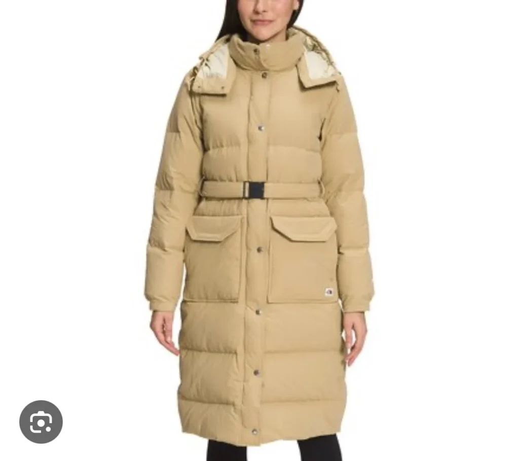 Image for The North Face Sierra Long Down Parka