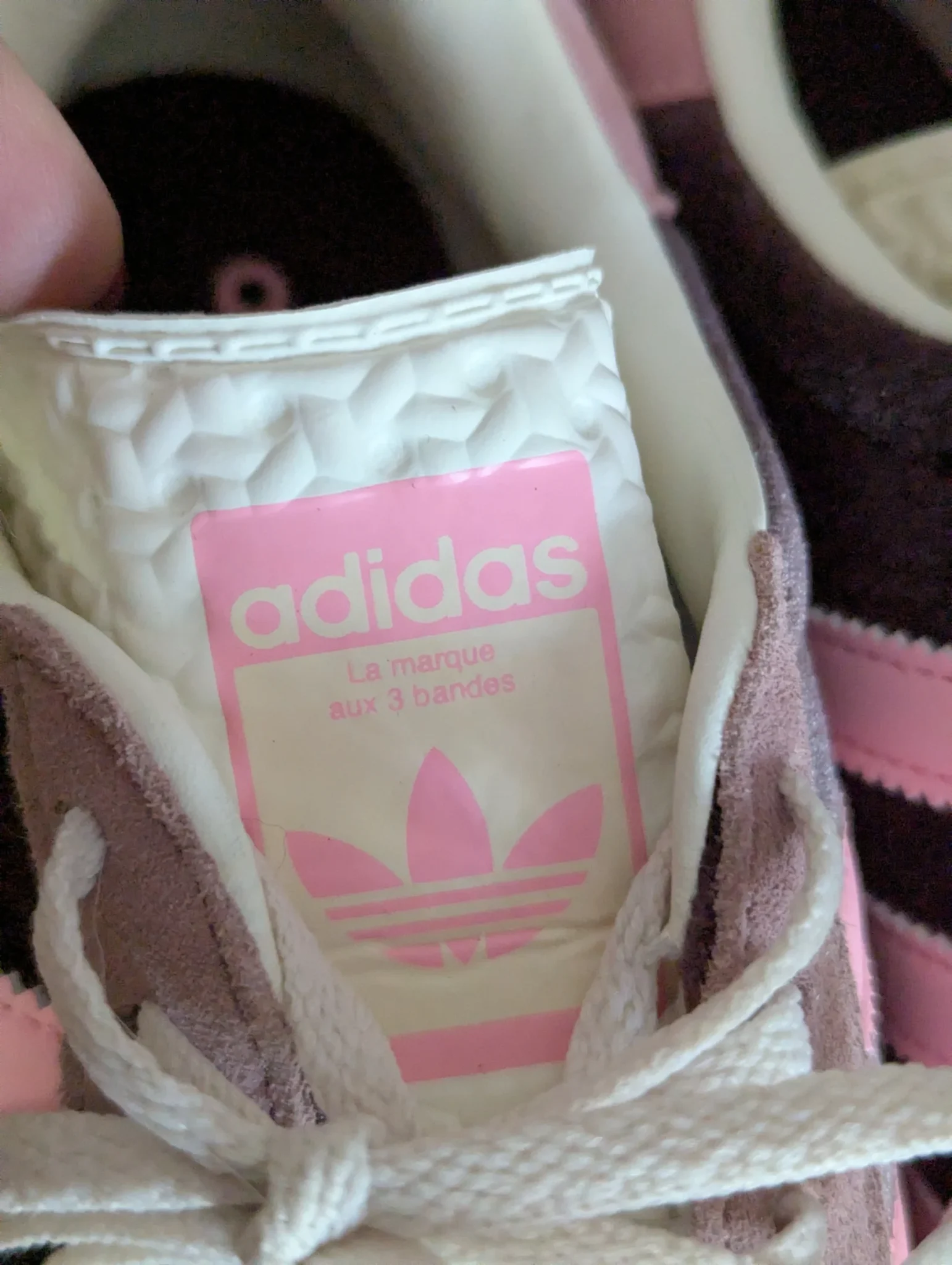 Image for Adidas Gazelle