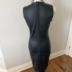 Thumbnail for Danier black leather dress with a zip at the back
