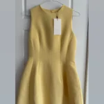 Thumbnail for Zara mini dress