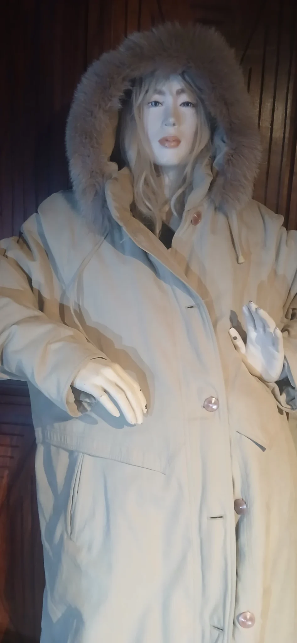 Image for Long beige coat