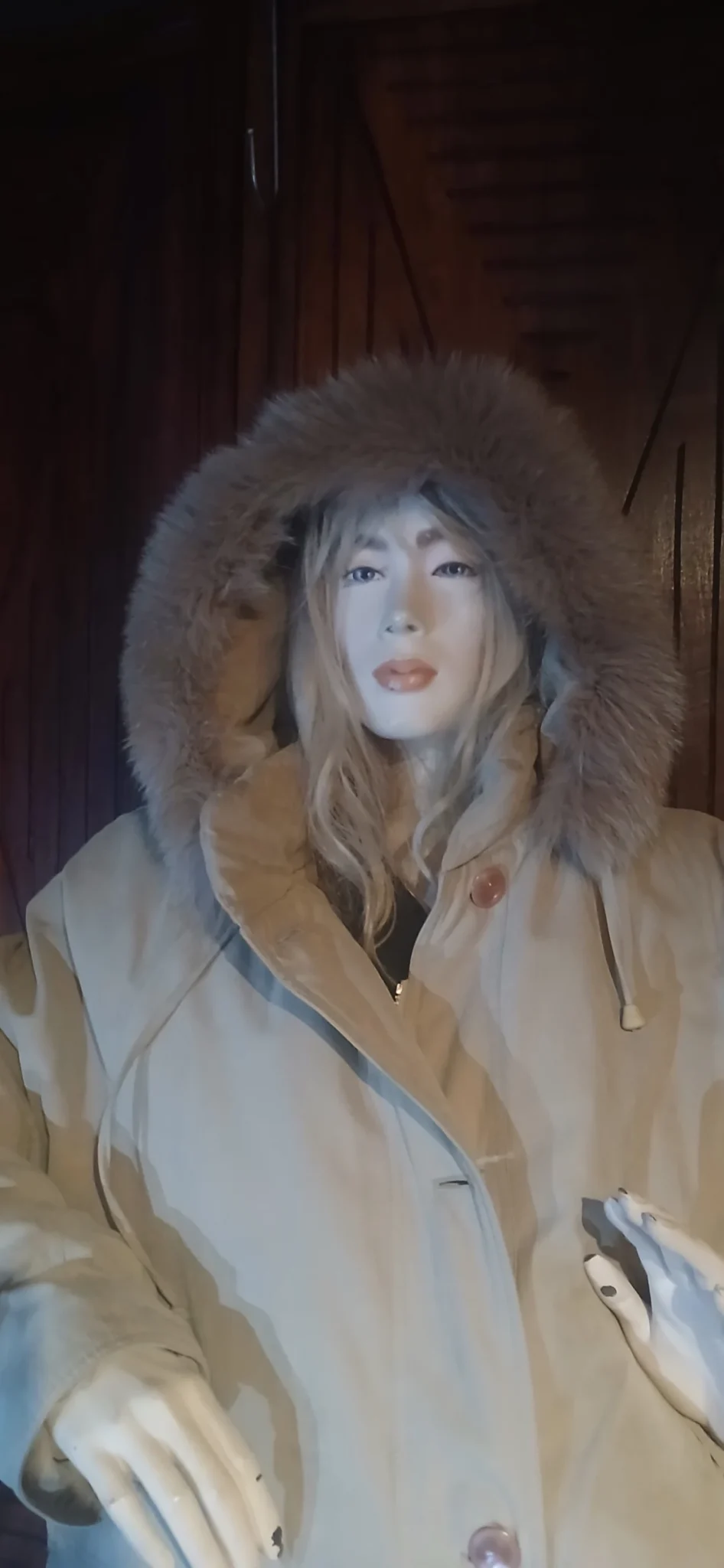 Image for Long beige coat