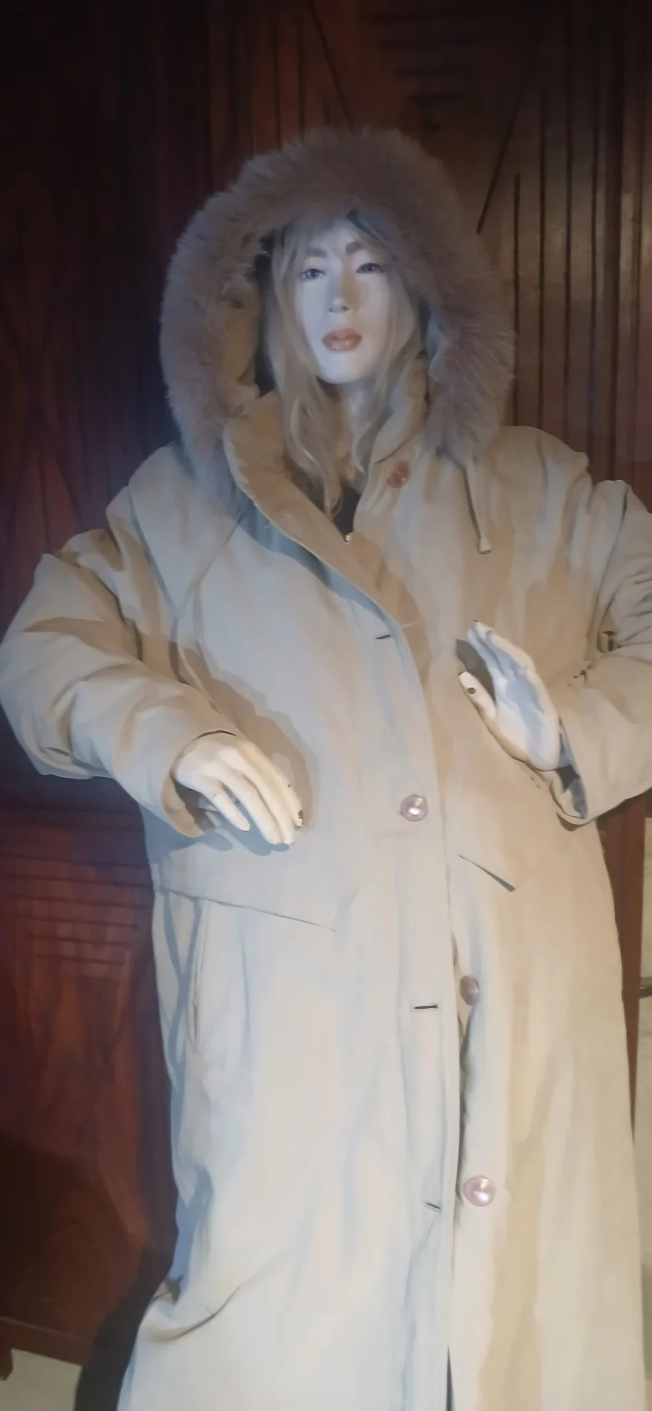 Image for Long beige coat