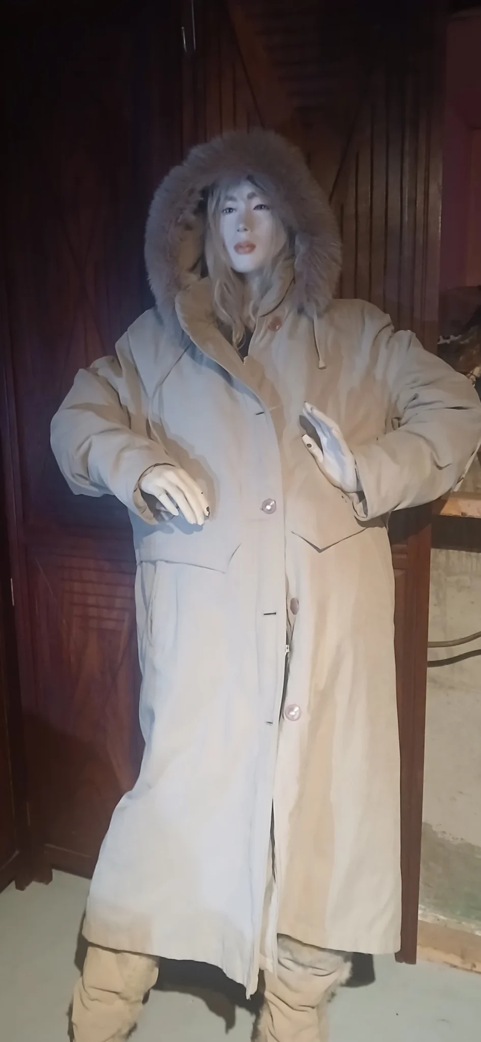Image for Long beige coat