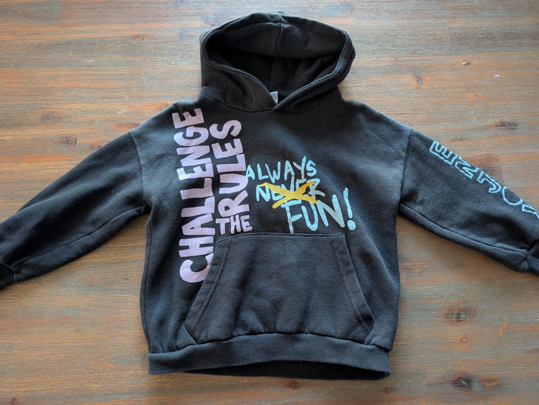 Hoodie Zara 4-5 ans Zara seconde main