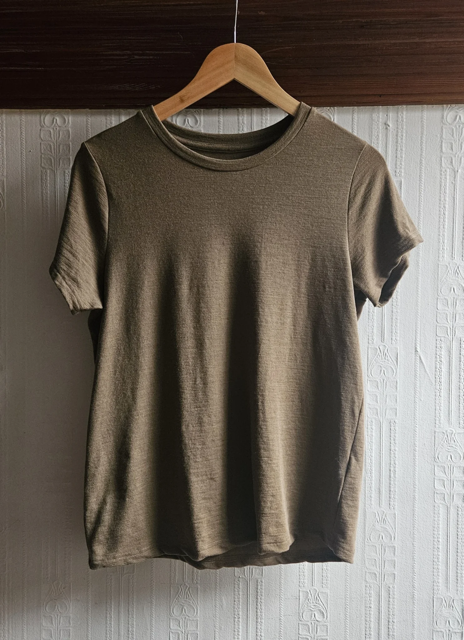 Featured image for 🌷Merino T-shirt – We Norwegians