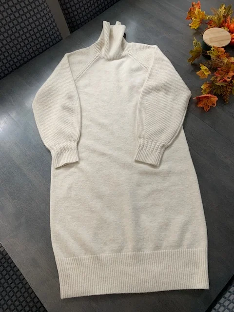 Image for Robe tricot col roulé