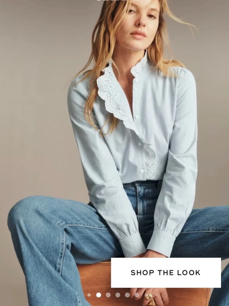 Image for ♥️Chlo blouse by SÉZANE