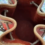 Thumbnail for DOONEY and BOURKE SEAL BAG