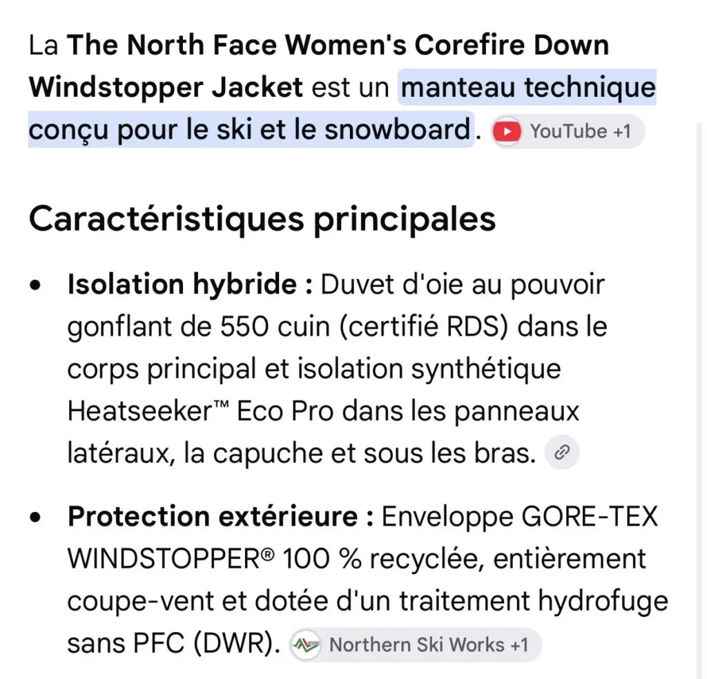 Image for The North Face winter sports jacket