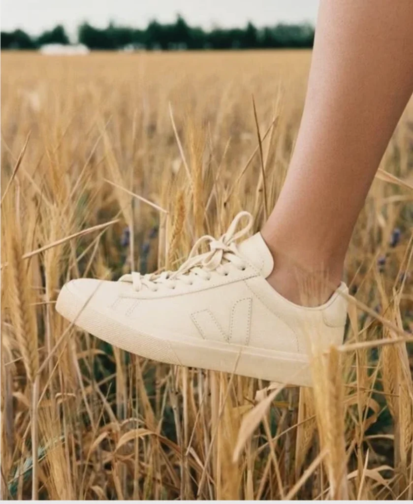 Image for VEJA x Mansur Gavriel Campo