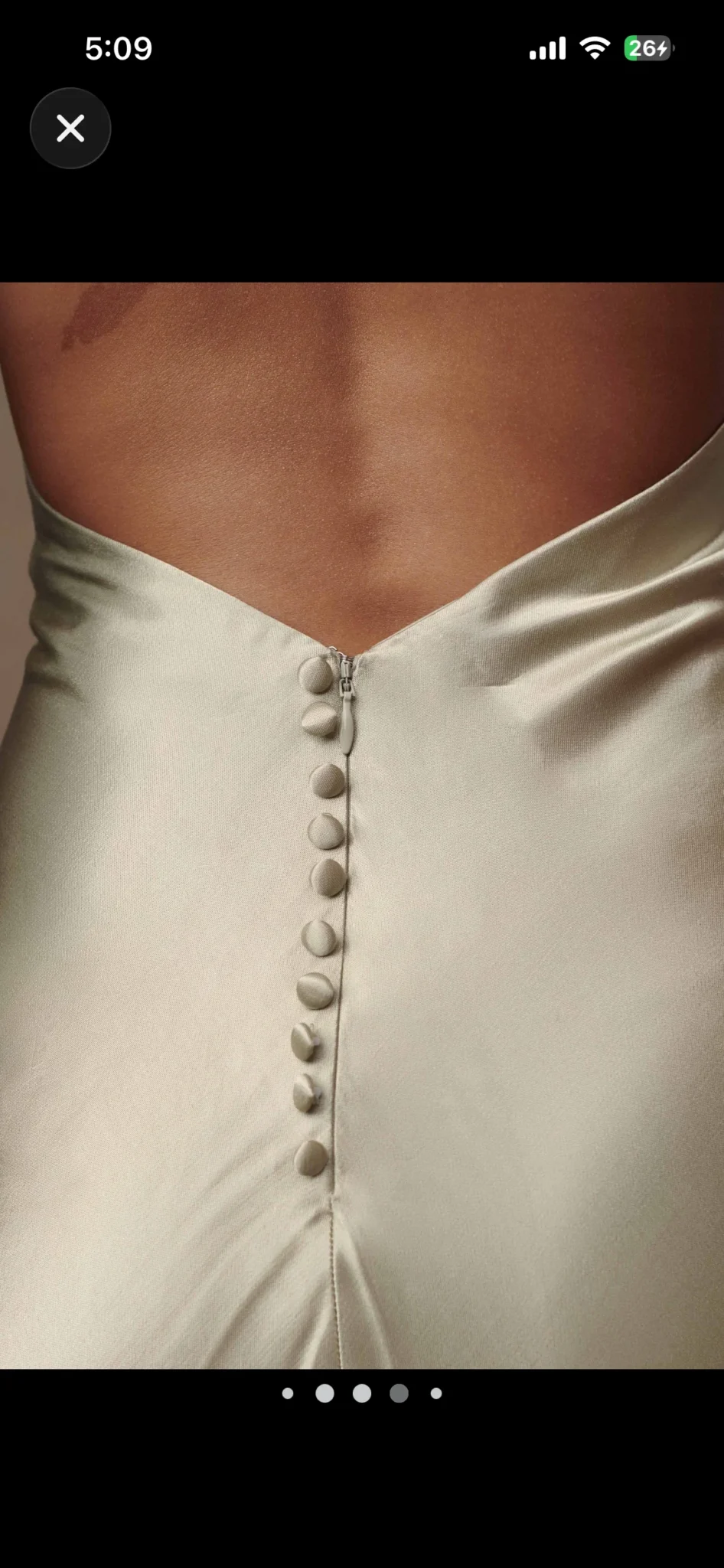 Image for Esther Iridescent Satin Cowl Maxi Dress (sage, taille M)