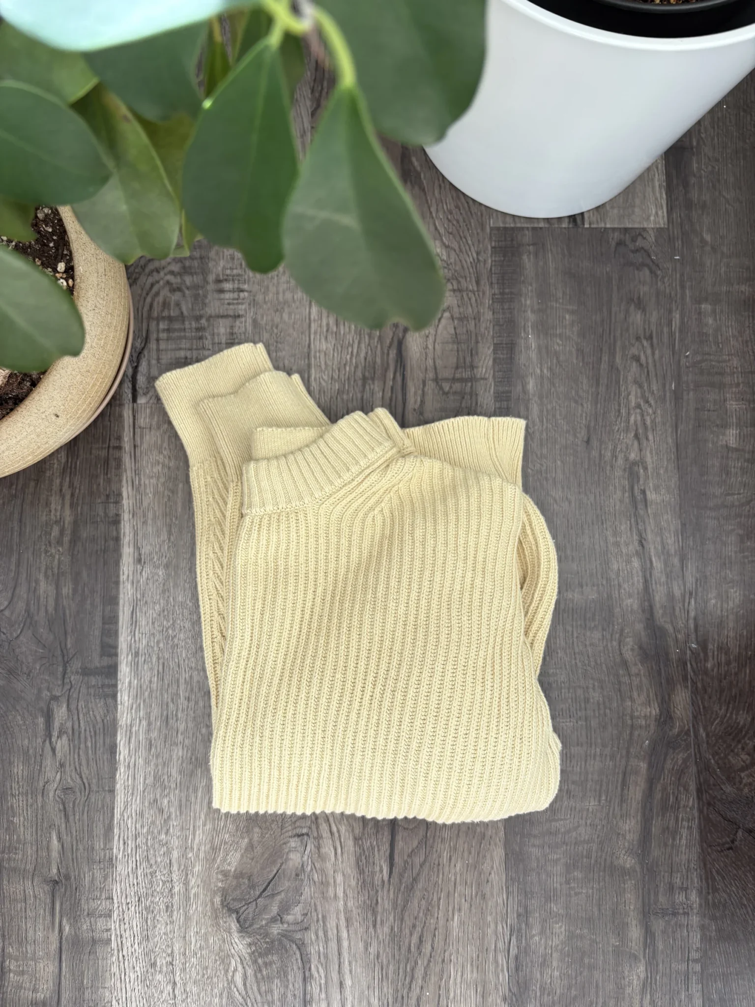 Image for Everlane cotton jumper