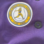 Thumbnail for Baseball shirt – The Mauves