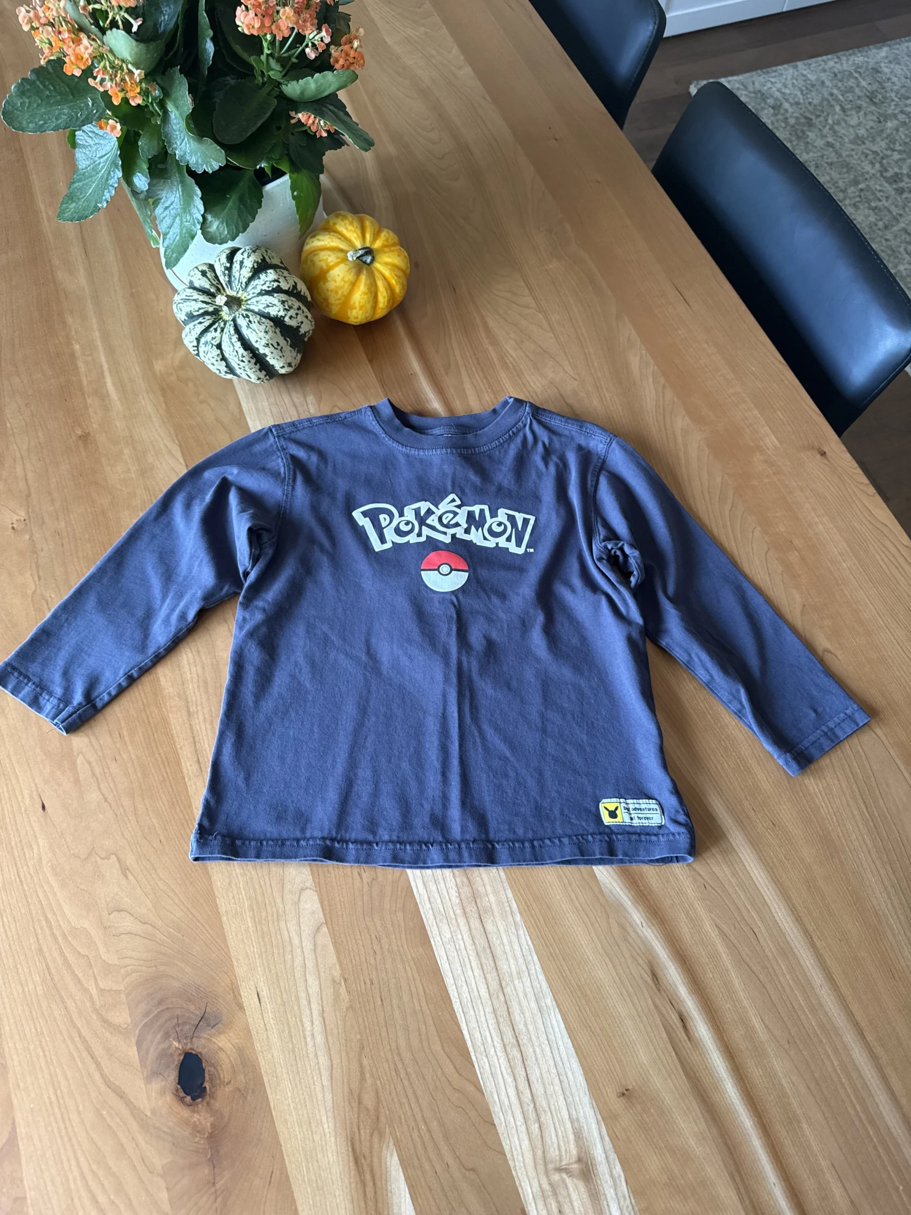 Dark grey Pokémon long-sleeved top Zara seconde main