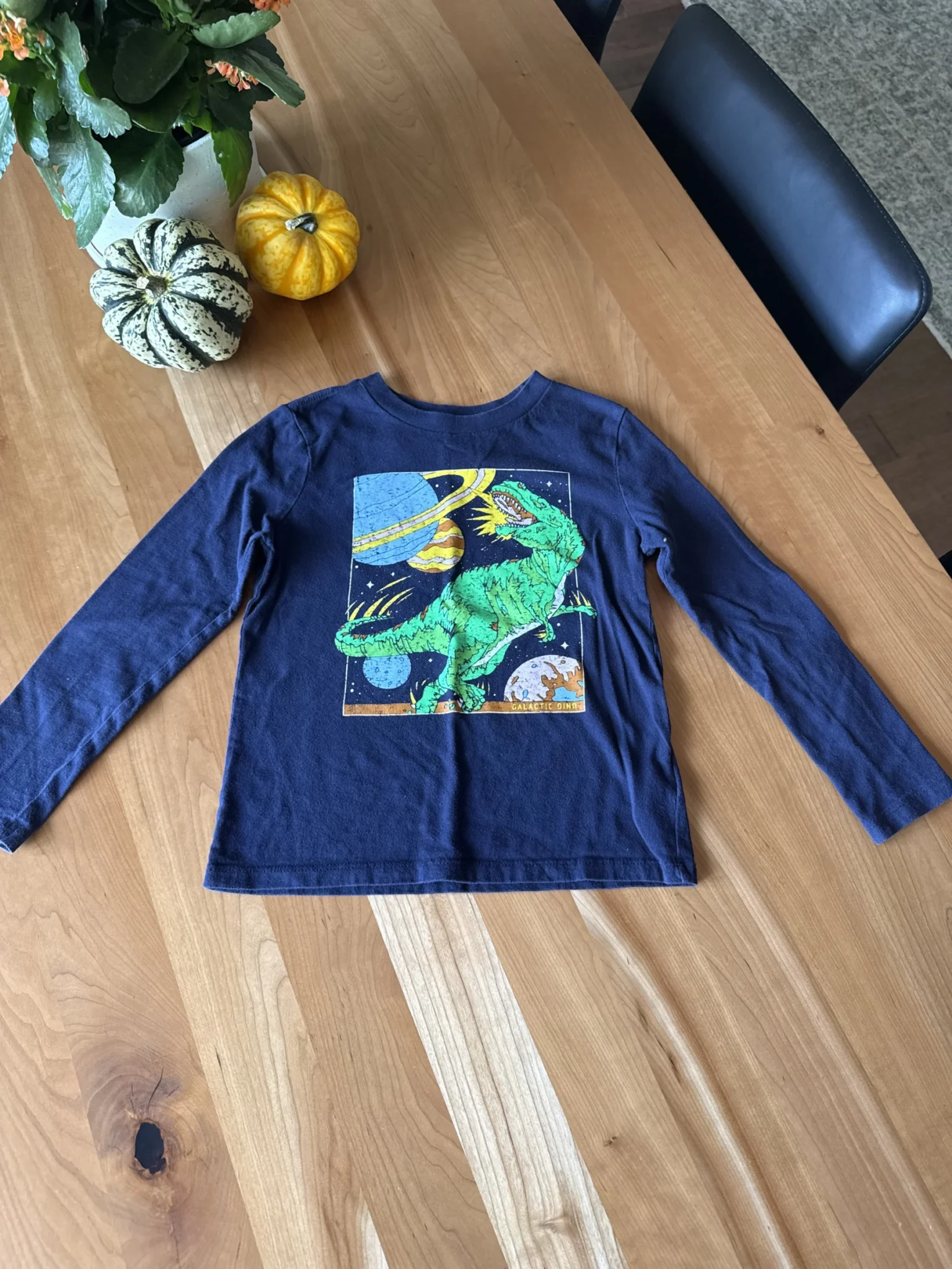 Featured image for Navy blue long-sleeved dinosaur top