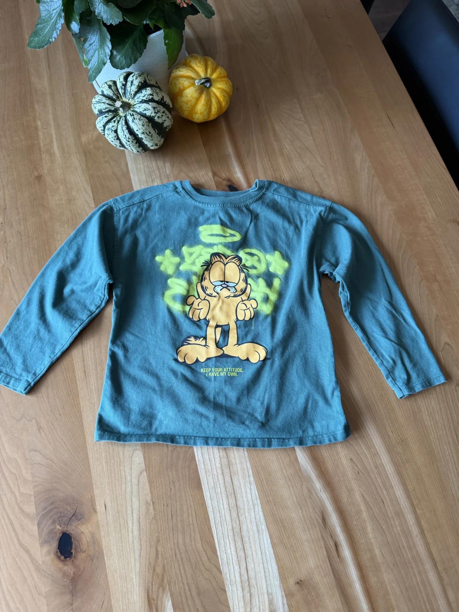 Featured image for Garfield green long-sleeved top