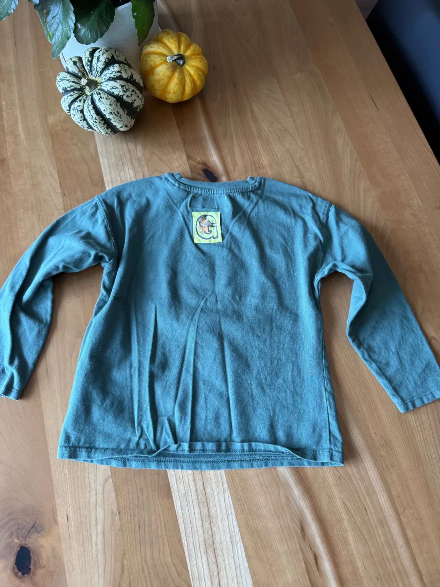 Image for Garfield green long-sleeved top