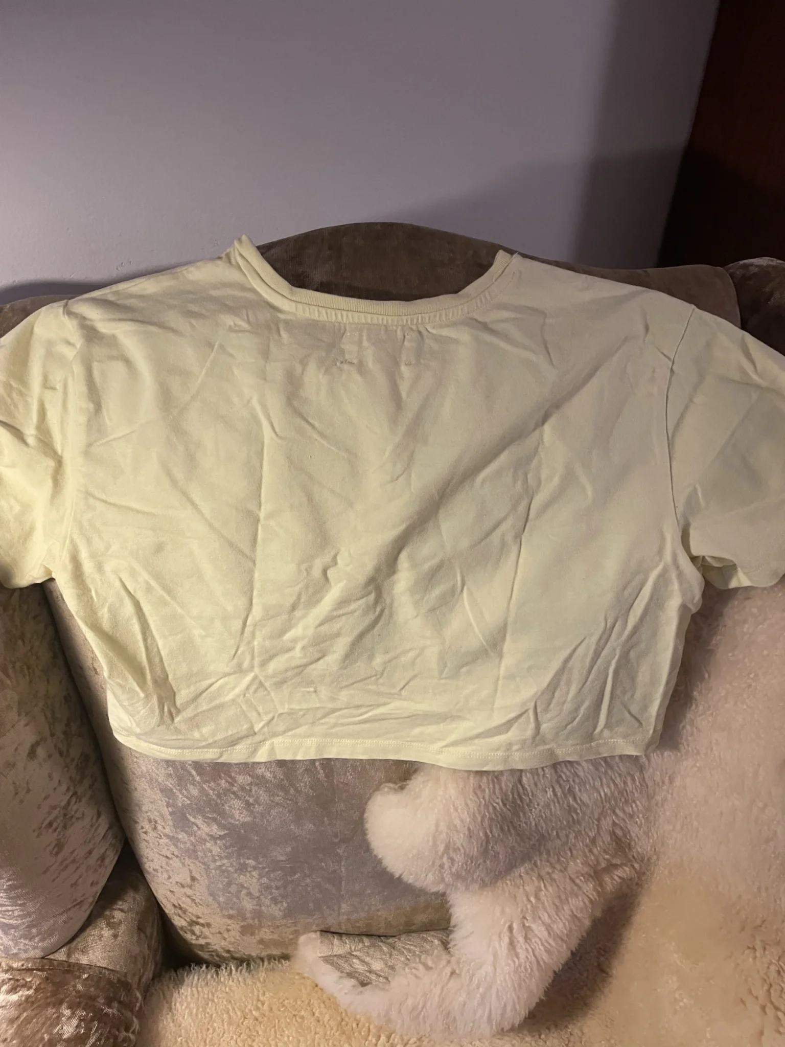 Image for TEE shirt womance crop