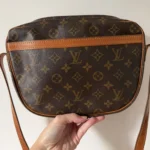 Thumbnail for Sac Louis Vuitton
