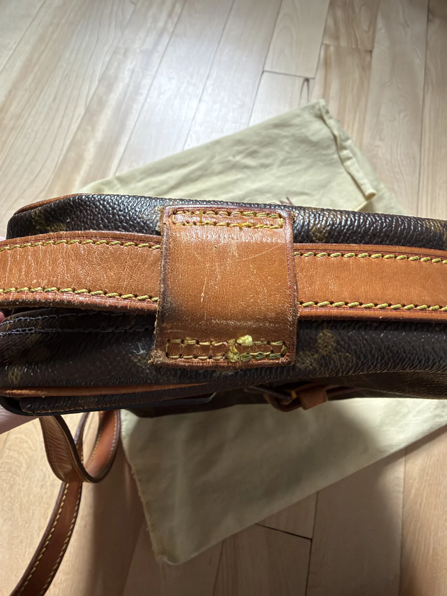 Image for Sac Louis Vuitton
