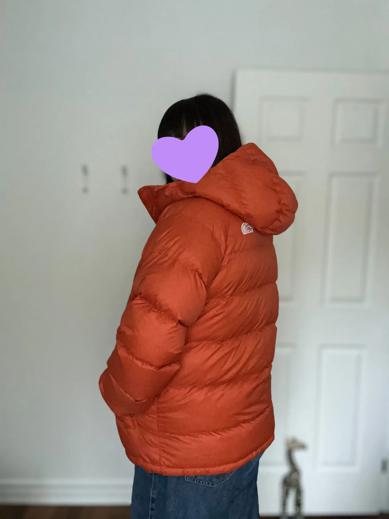 Image for North Face Burnt Orange Coat