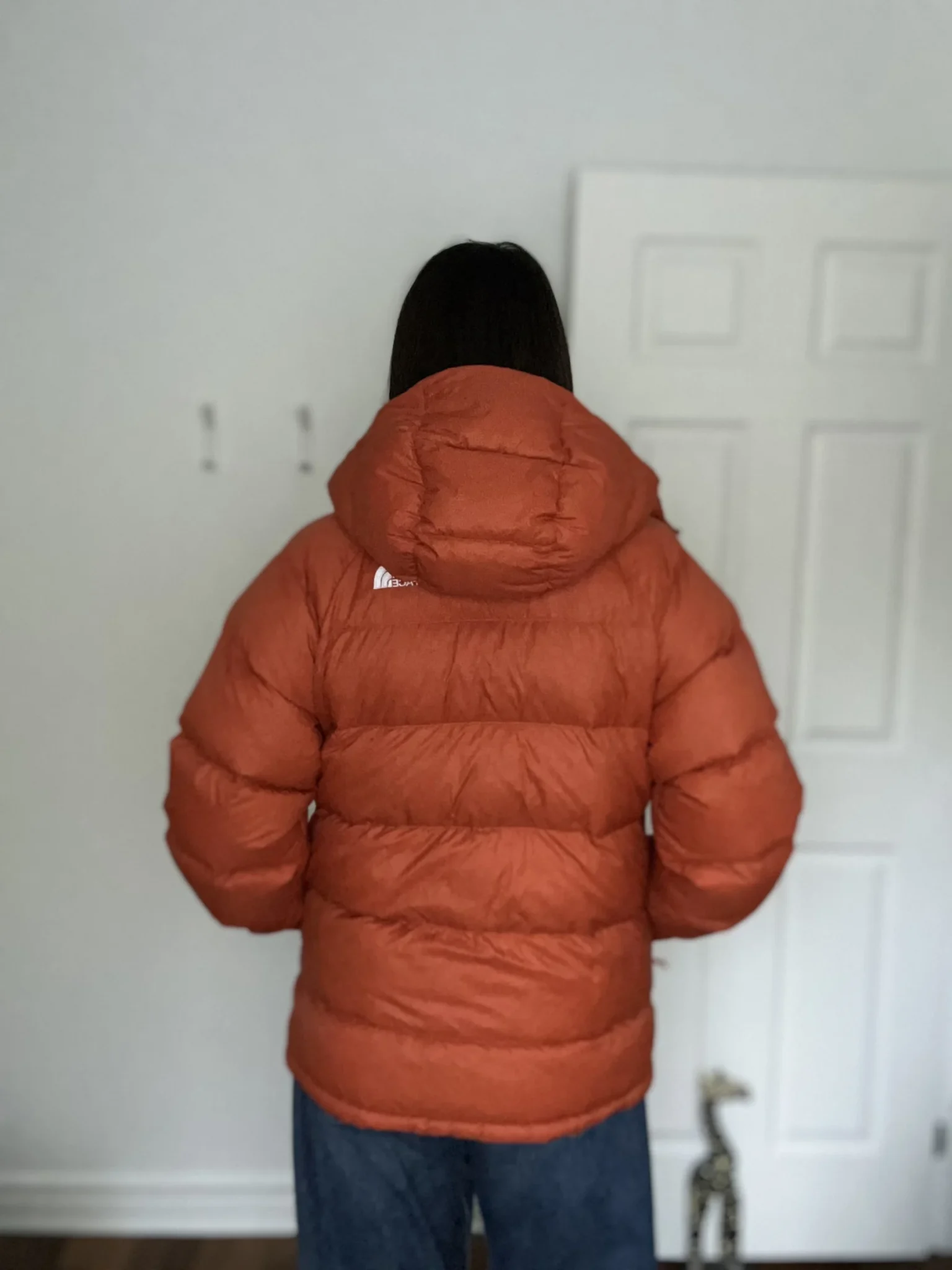 Image for North Face Burnt Orange Coat