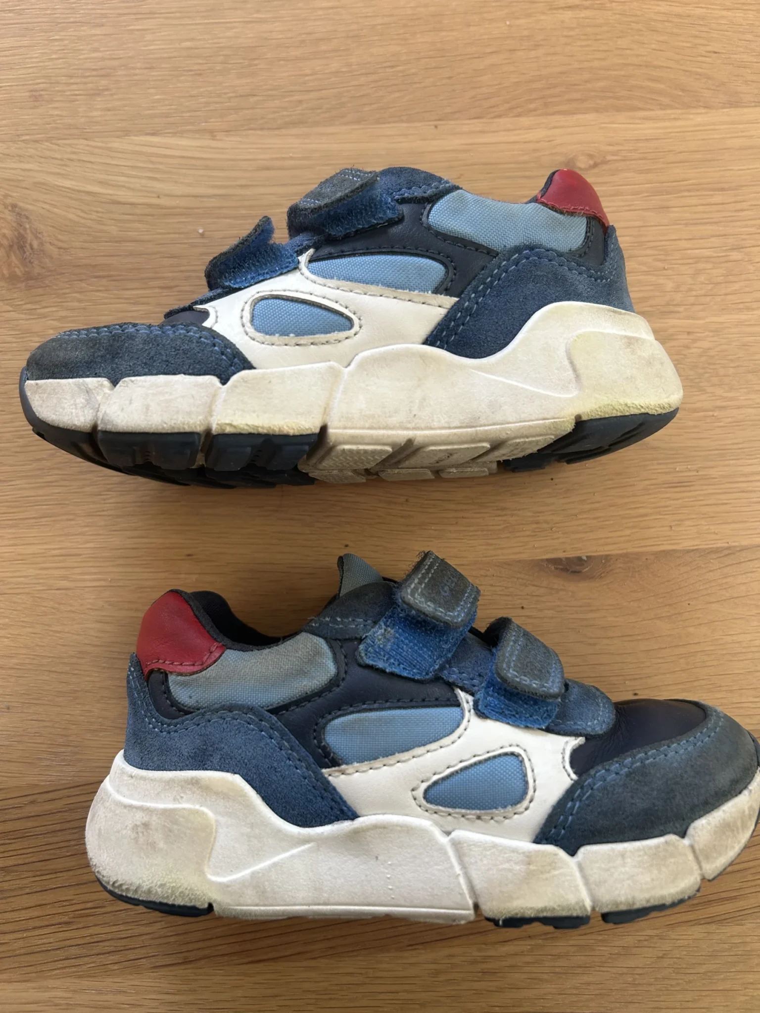 Image for Espadrilles, Geox for boys, 25 EUR