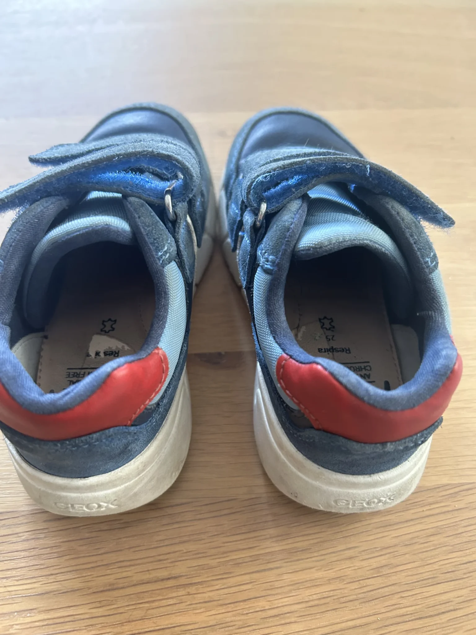 Image for Espadrilles, Geox for boys, 25 EUR