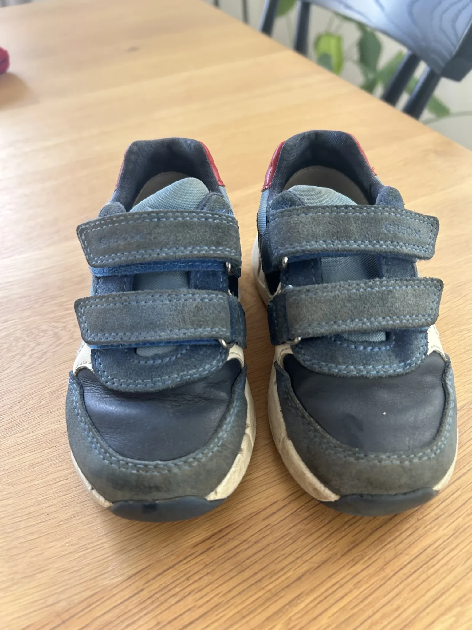 Image for Espadrilles, Geox for boys, 25 EUR