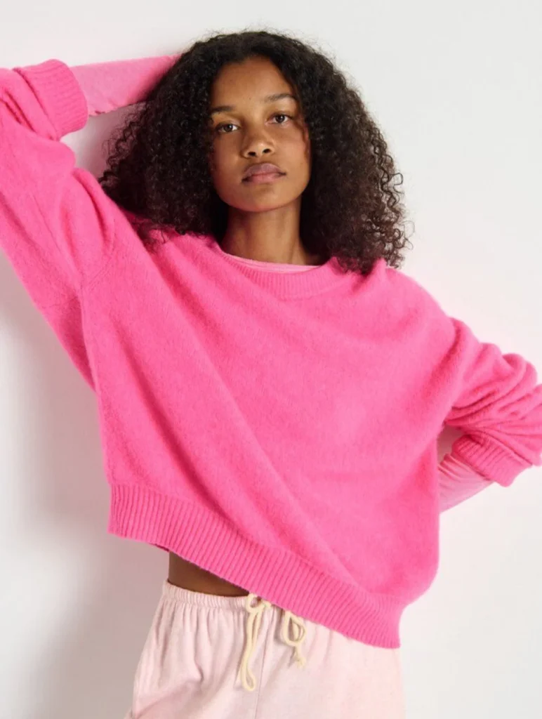 Featured image for 🌷Vitow jumper – American Vintage