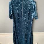 Thumbnail for Velvet dress