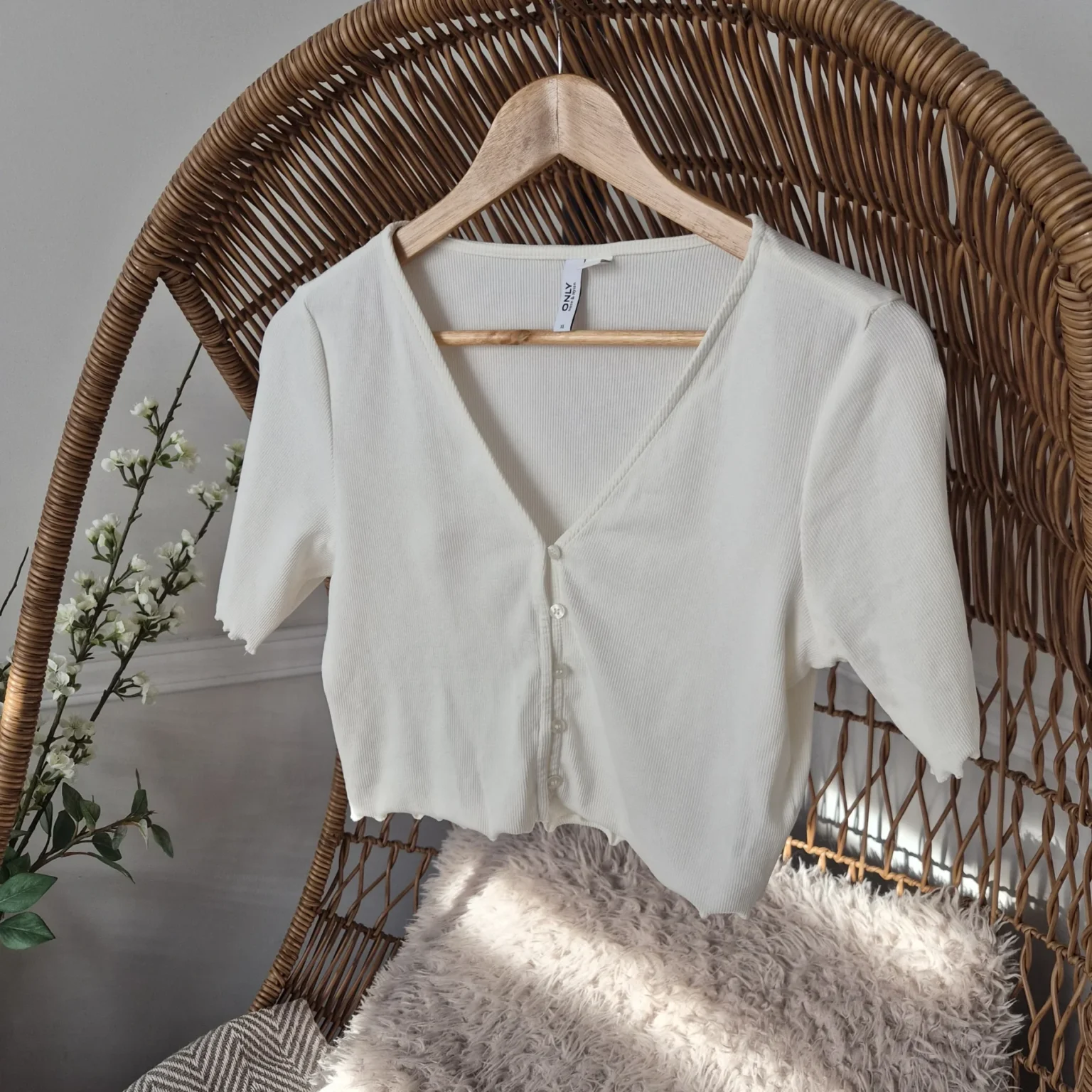 Featured image for Only Cropped Top