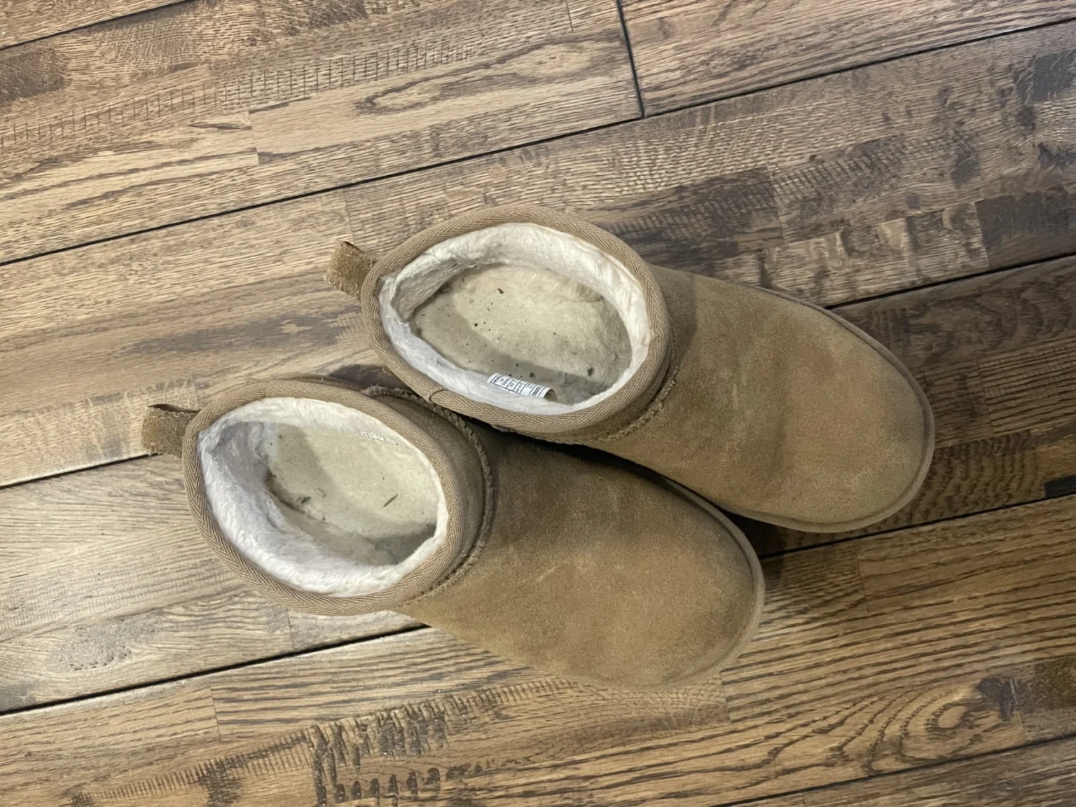 Featured image for Ugg