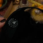 Thumbnail for Official baseball cap