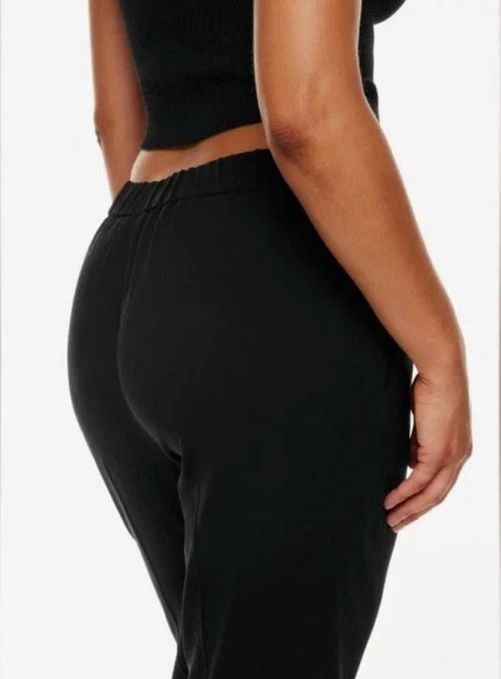 Image for Pantalon Aritzia Conan noir, taille 2