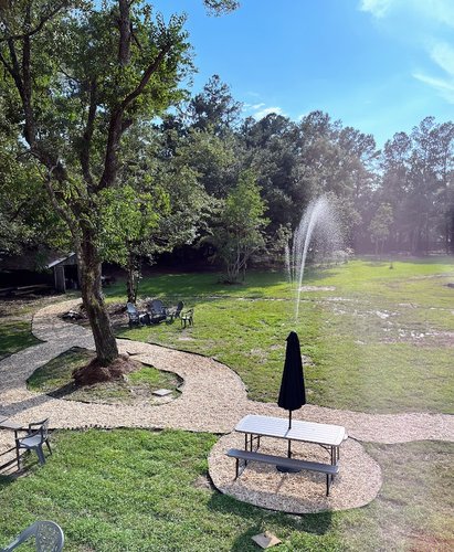 Backyard 1