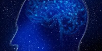 brain