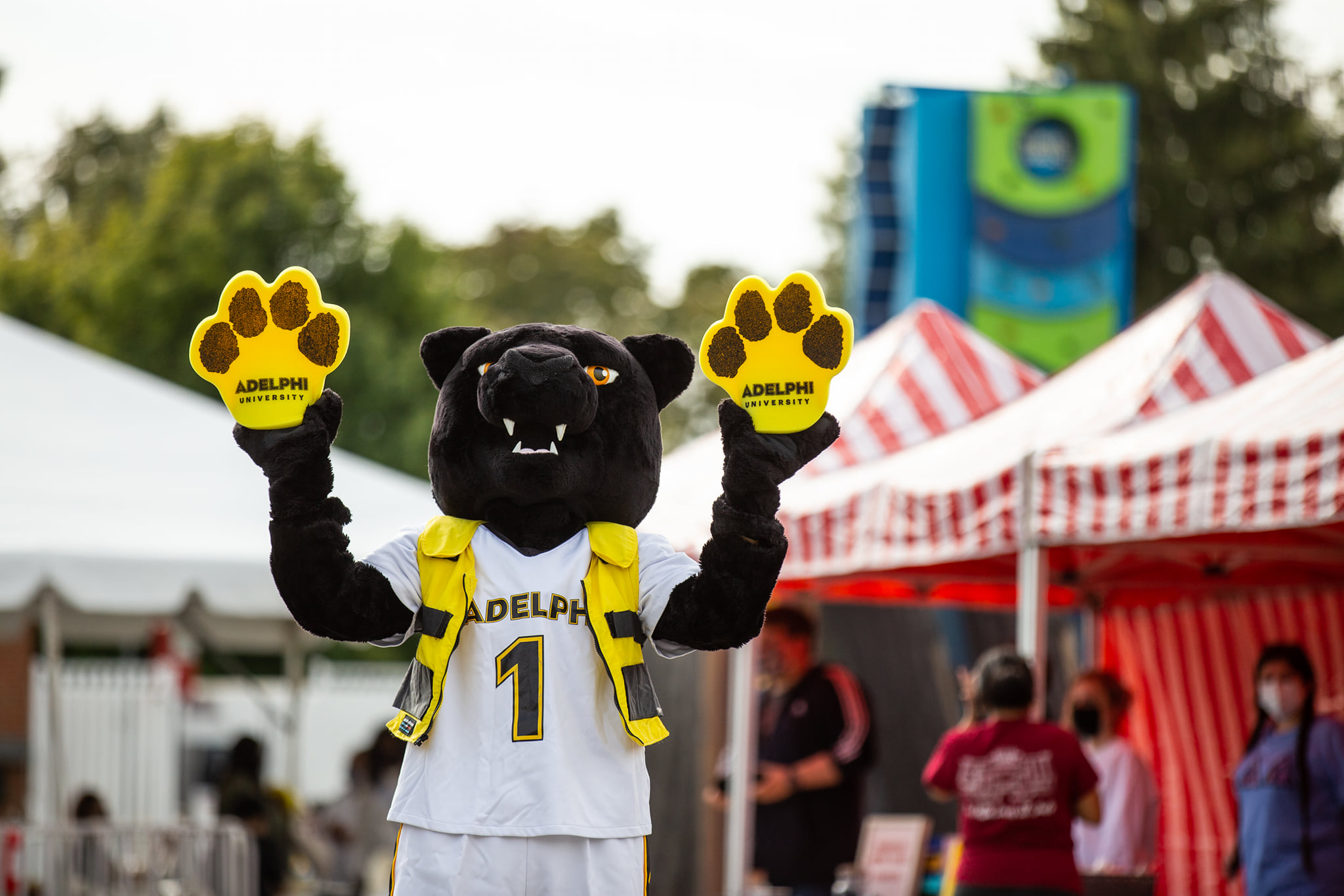 Deporte en Adelphi University