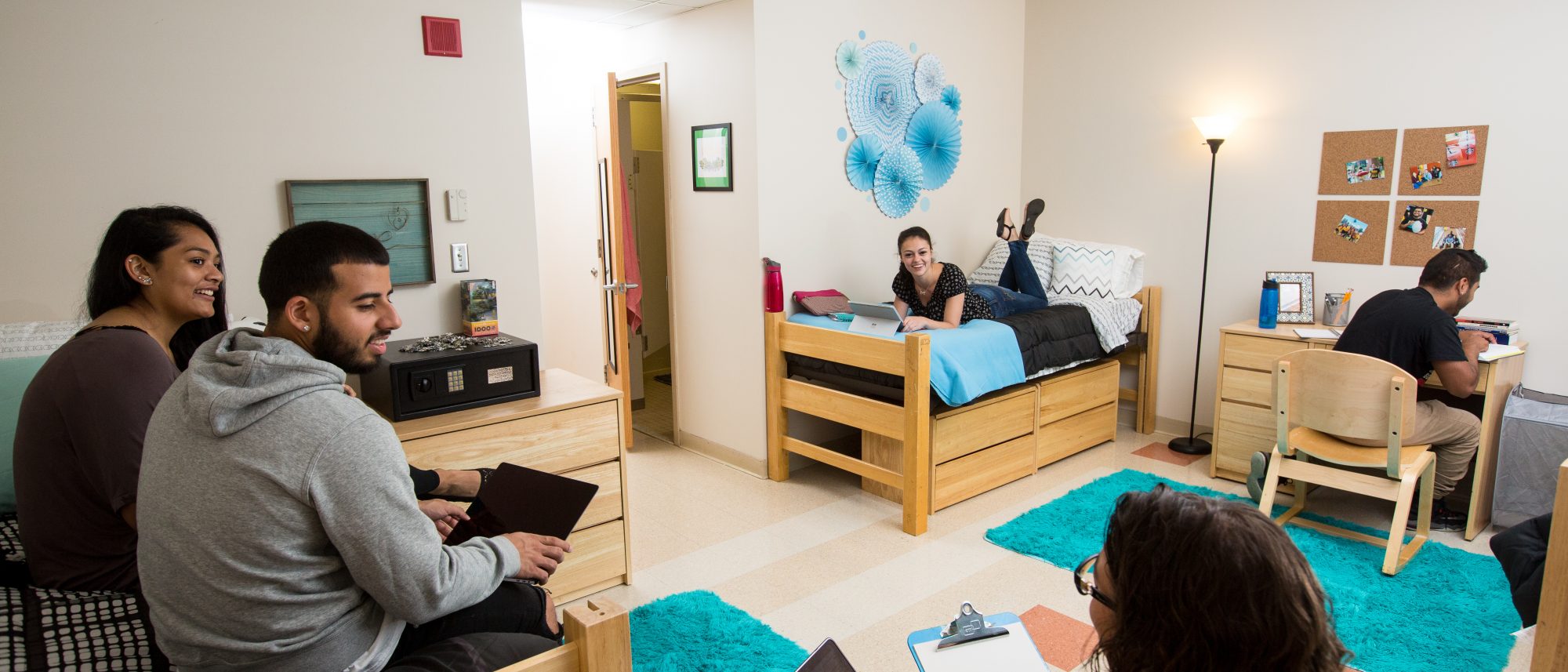 Campus de Adelphi University