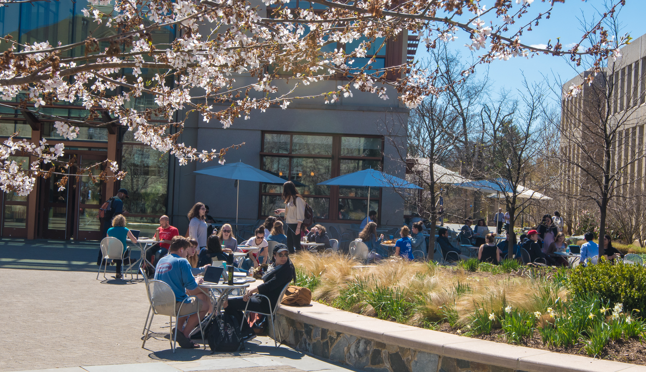 Instalaciones de American University