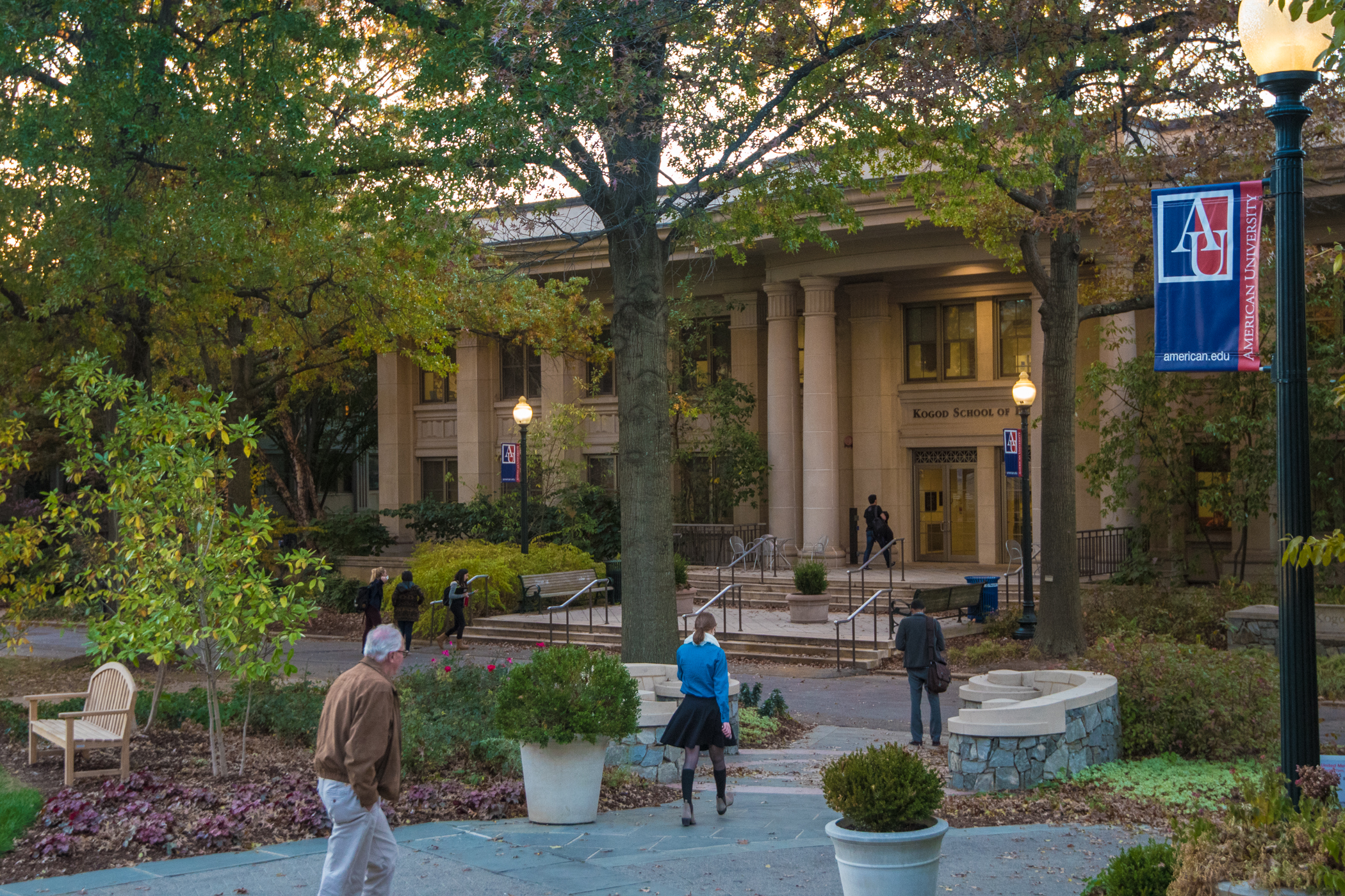 American University