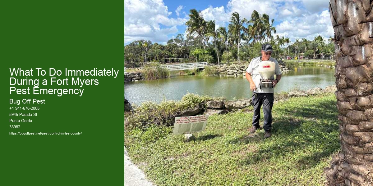What To Do Immediately During a Fort Myers Pest Emergency