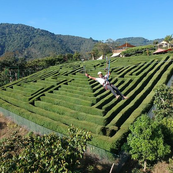APANECA