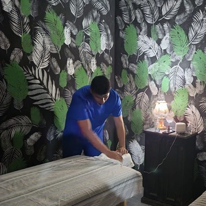 Ludvin De Leon Fisioterapia más allá de los límites